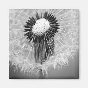The Seeds of Tomorrow Magnet