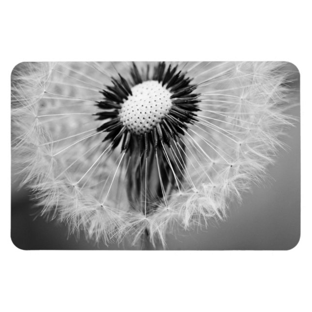 The Seeds of Tomorrow Magnet (Horizontal)