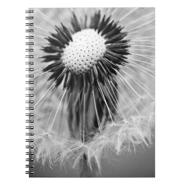 The Seeds of Tomorrow Notebook (Front)
