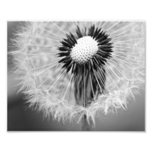 The Seeds of Tomorrow Photo Print