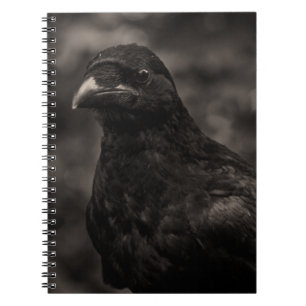 The Seeker Notebook