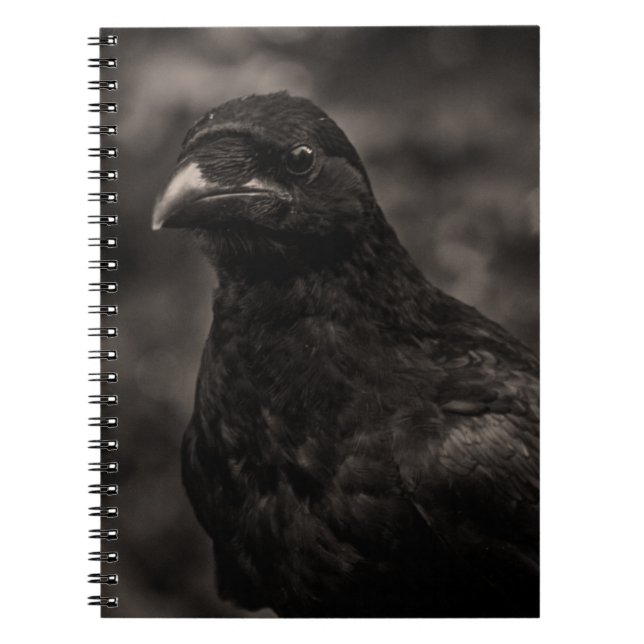 The Seeker Notebook (Front)