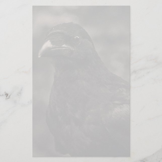 The Seeker Stationery (Front)