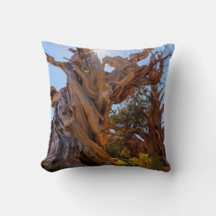 The Sentinel Tree Cushion