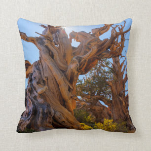 The Sentinel Tree Cushion