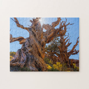 The Sentinel Tree Jigsaw Puzzle