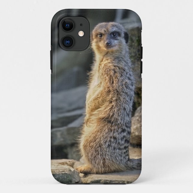 The Sentry 2 iPhone 5 Case-Mate Case (Back)