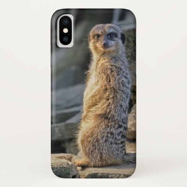 The Sentry 2 iPhone X Case (Back)