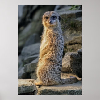 The Sentry 2 Print