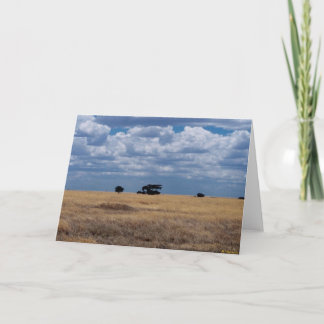 The Serengeti Plain Card