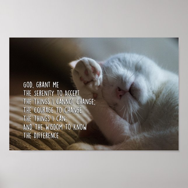 The Serenity Prayer Peaceful Cat Sleeping Poster (Front)