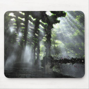 The Shaded Path (Mousepad) Mouse Mat