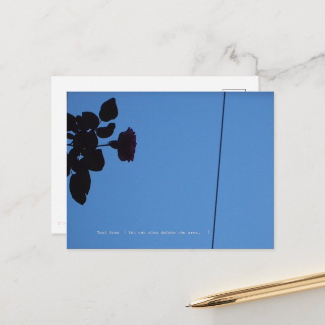 The shadow of a rose emerging darkly. postcard (Front/Back In Situ)