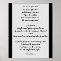 The Shadow of the Wind a poem by me