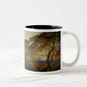 The Shadowy Stream Two-Tone Coffee Mug