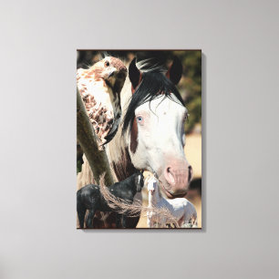 The Shaman  Canvas Print
