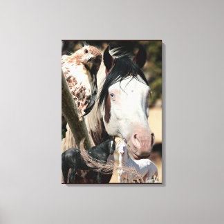 The Shaman  Canvas Print