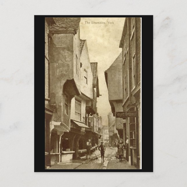 The Shambles, York Postcard (Front)