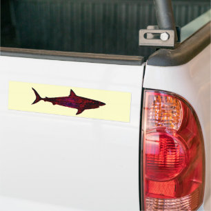 The shark bumper sticker