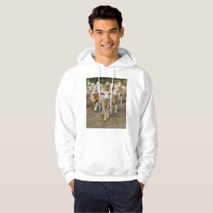 The Sheep Come Marching In Hurrah, Hoodie