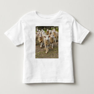 The Sheep Come Marching In Hurrah, Toddler T-Shirt