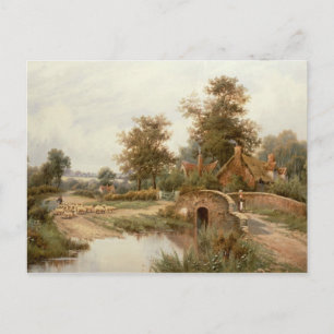 The Sheep Drover Postcard