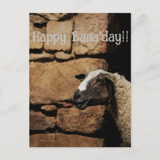 The Sheep, Happy Baaaday! Postcard