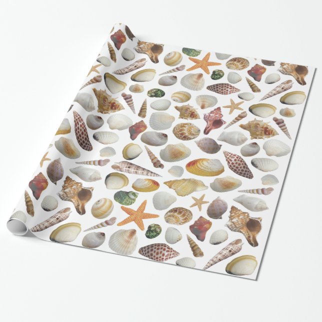 The Shell Collector Wrapping Paper (Unrolled)
