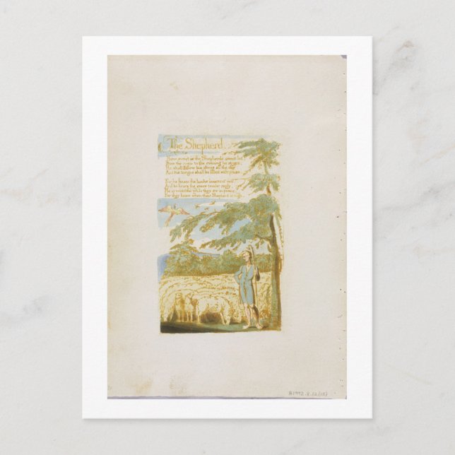 'The Shepherd', plate 15 from 'Songs of Innocence' Postcard (Front)