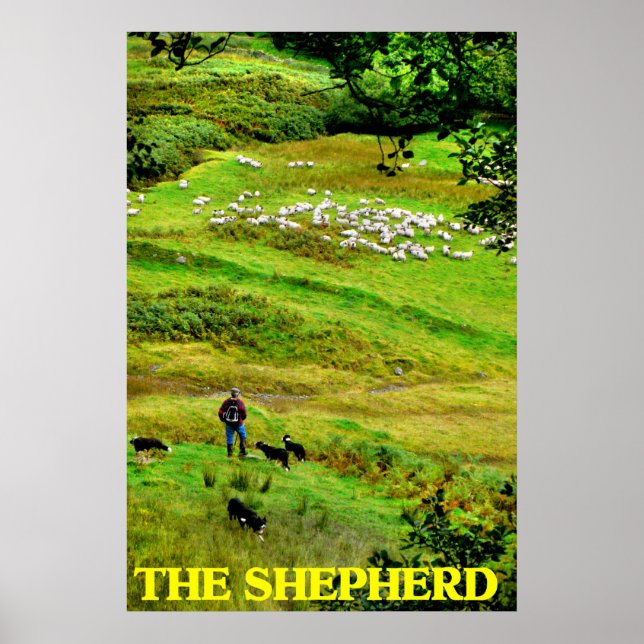 the shepherd poster (Front)