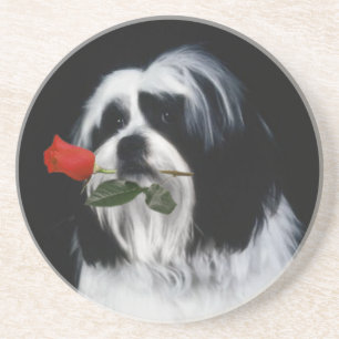 The Shih Tzu Dog Coaster