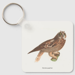 The Short-eared Owl (Otus palustris) New York Bird Key Ring