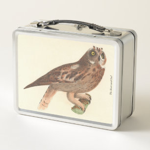 The Short-eared Owl (Otus palustris) New York Bird Metal Lunch Box