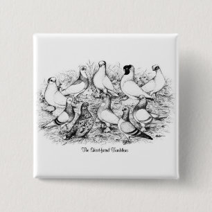 The Short-faced Tumbler Pigeons 15 Cm Square Badge