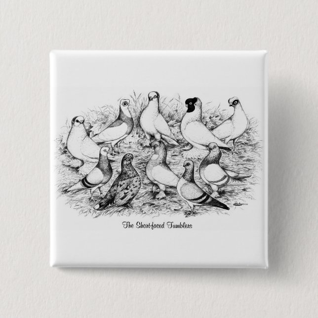 The Short-faced Tumbler Pigeons 15 Cm Square Badge (Front)