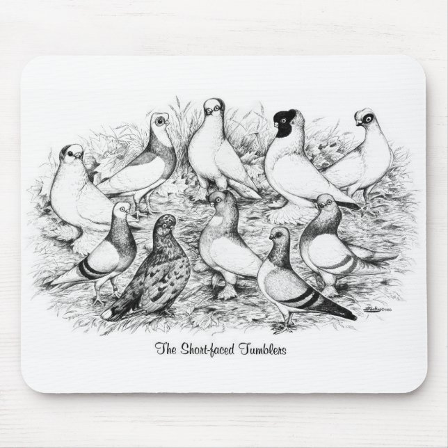 The Short-faced Tumbler Pigeons Mouse Mat (Front)