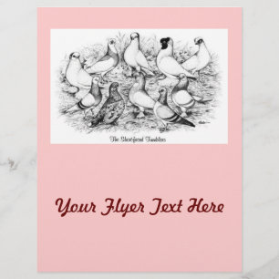 The Short-faced Tumblers Flyer