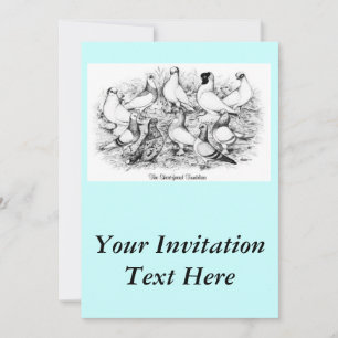 The Short-faced Tumblers Invitation