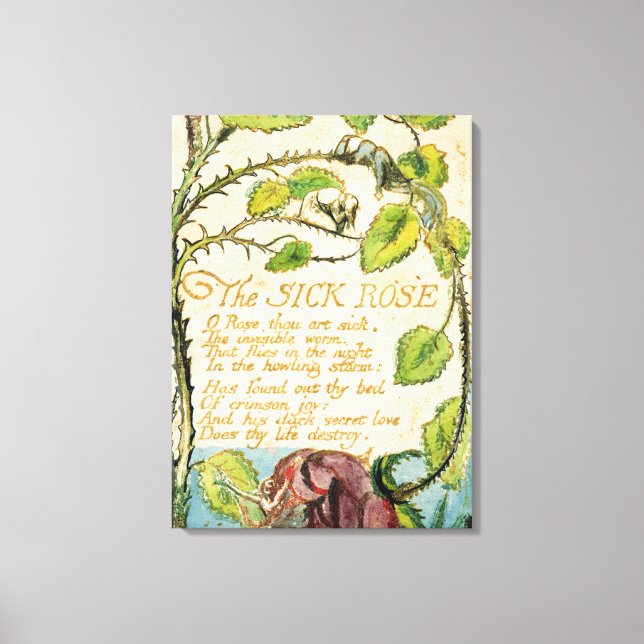 The Sick Rose, from Songs of Innocence Canvas Print (Front)