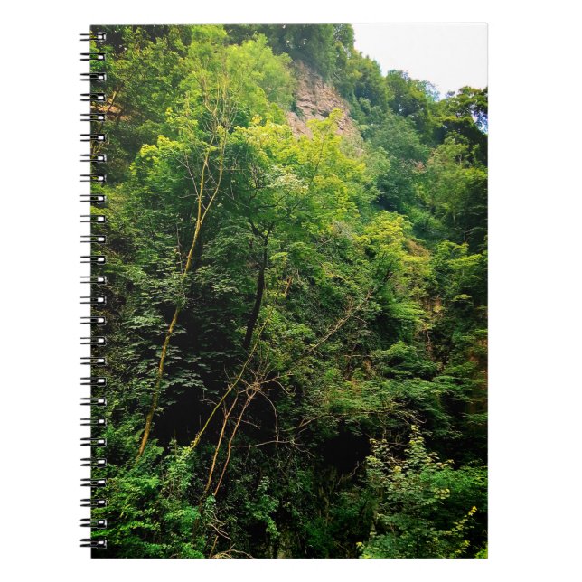 The side of trees notebook (Front)