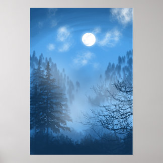 The Silent Canopy Poster