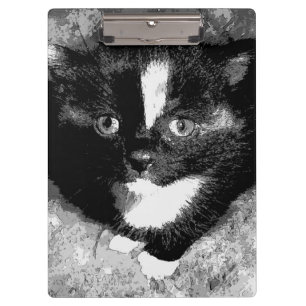 The Silent Observer  Clipboard