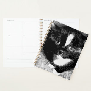The Silent Observer Planner