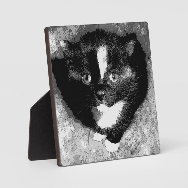 The Silent Observer Plaque (Front)