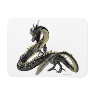 The Silver Dragon Magnet