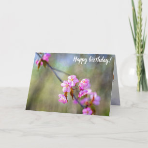 The Simple Beauty Of Sakura Flowers In Springtime Card