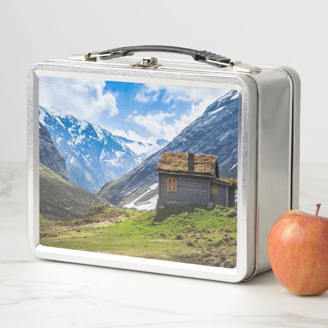 The Simple Metal Lunch Box (In Situ)