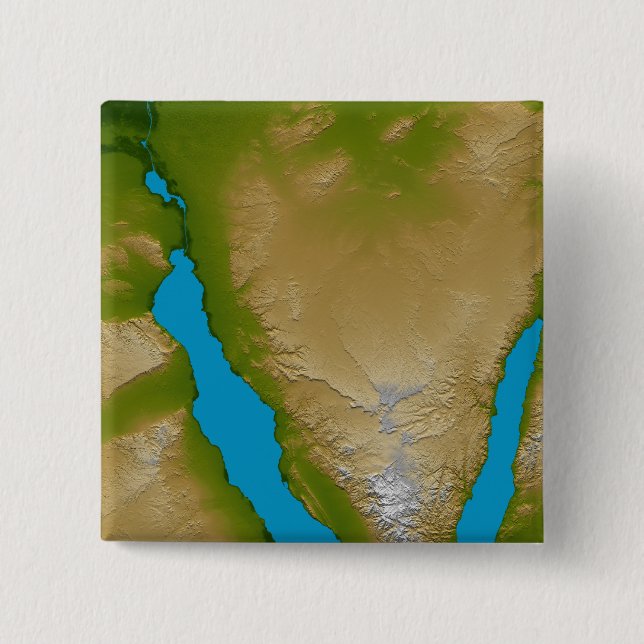 The Sinai Peninsula 15 Cm Square Badge (Front)