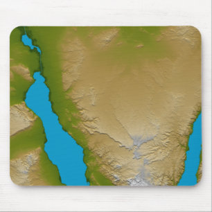 The Sinai Peninsula Mouse Mat