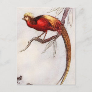 The Singing Bird of Heaven Postcard
